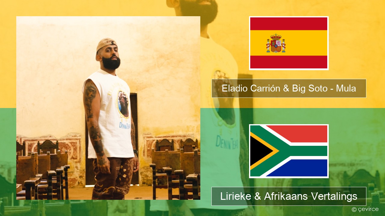 Eladio Carrión & Big Soto – Mula Spaanse Lirieke & Afrikaans Vertalings