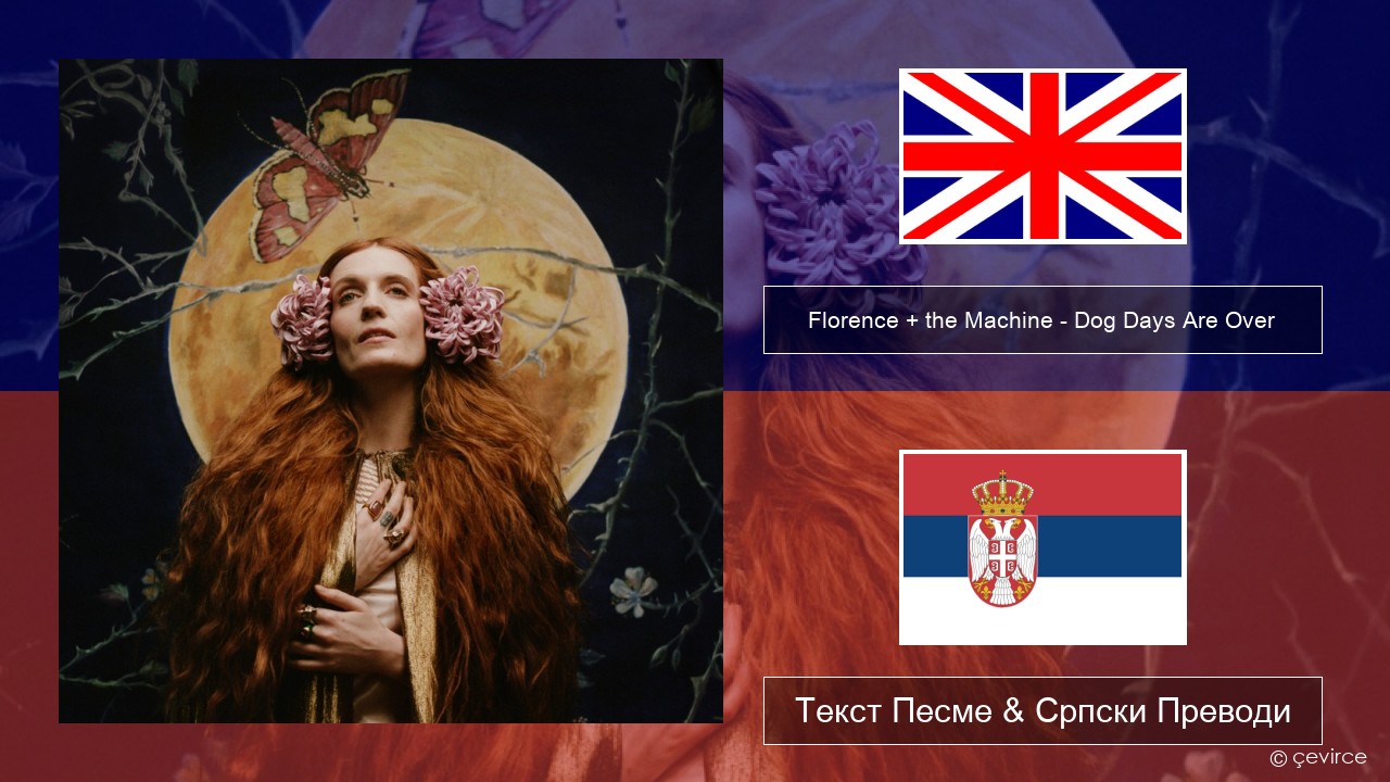 Florence + the Machine – Dog Days Are Over Енглески Текст Песме & Српски Преводи