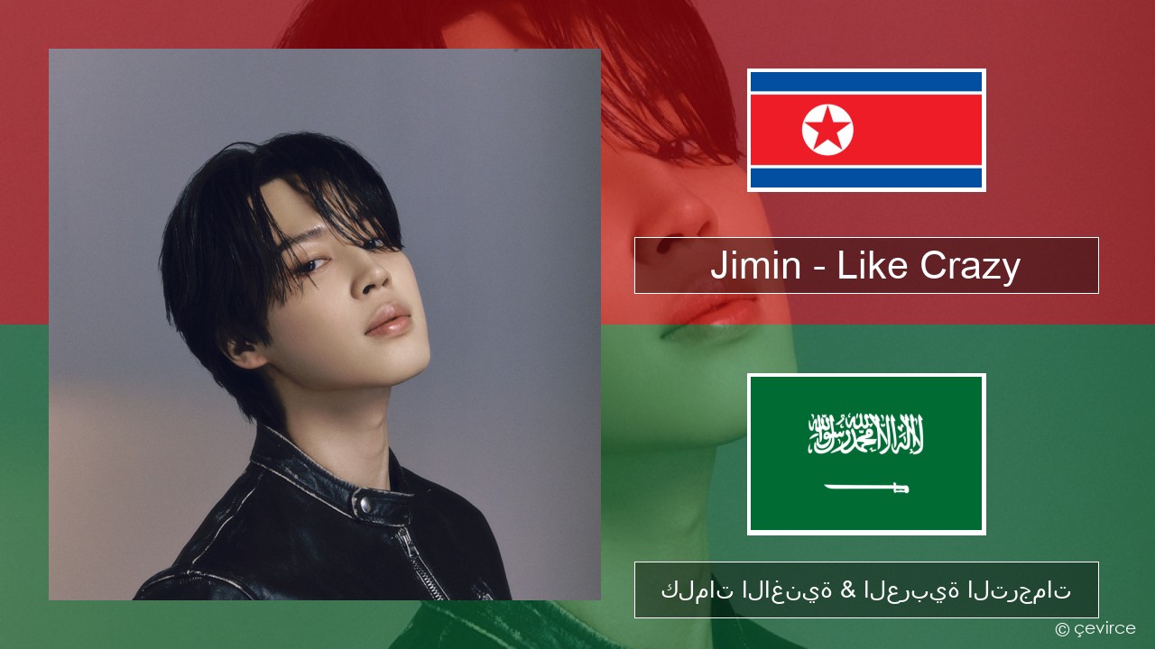 Jimin – Like Crazy الكورية كلمات الاغنية & العربية الترجمات