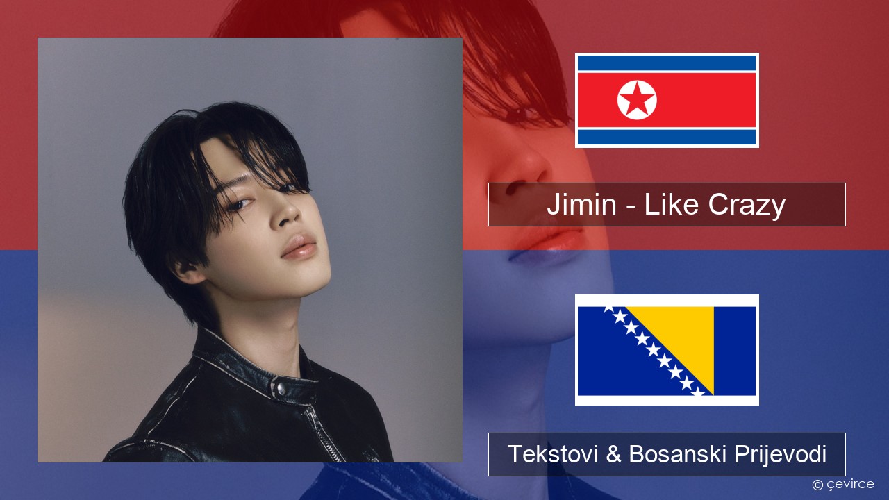 Jimin – Like Crazy Korejski Tekstovi & Bosanski Prijevodi