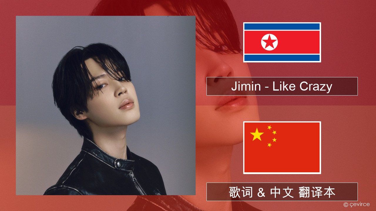 Jimin – Like Crazy 韩国人 歌词 & 中文 翻译本