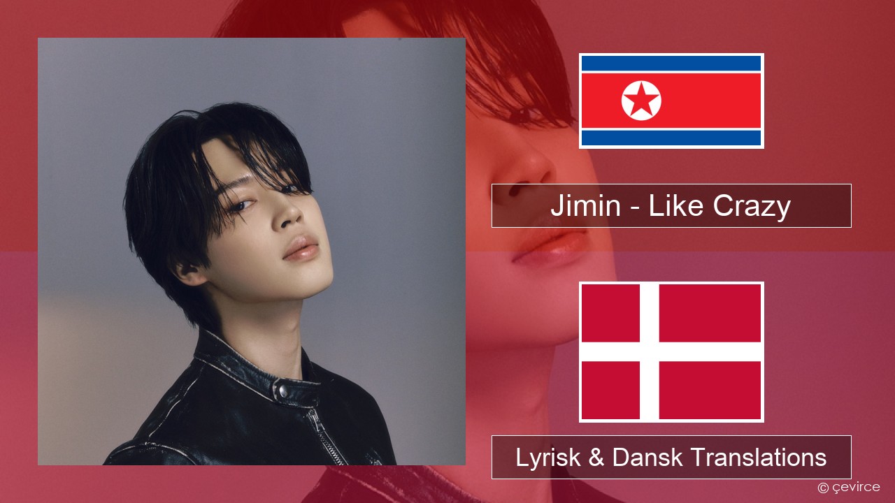 Jimin – Like Crazy Koreansk Lyrisk & Dansk Translations