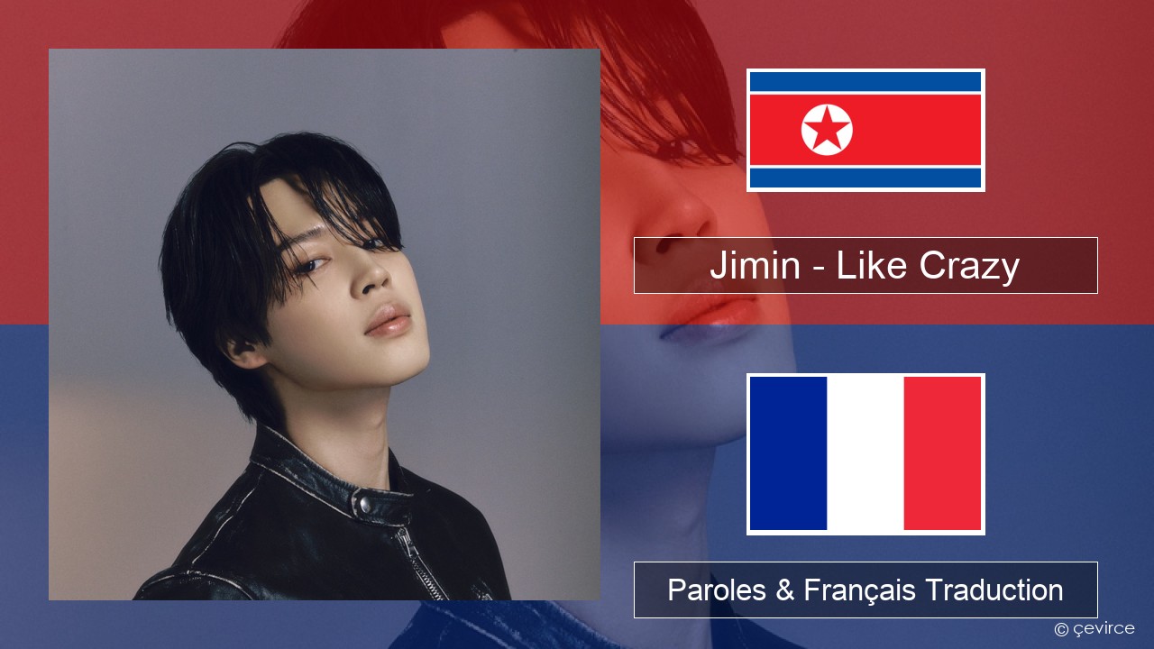 Jimin – Like Crazy Coréen Paroles & Français Traduction
