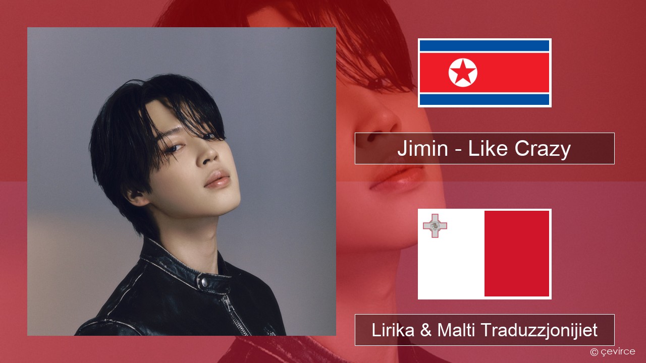 Jimin – Like Crazy Korean Lirika & Malti Traduzzjonijiet