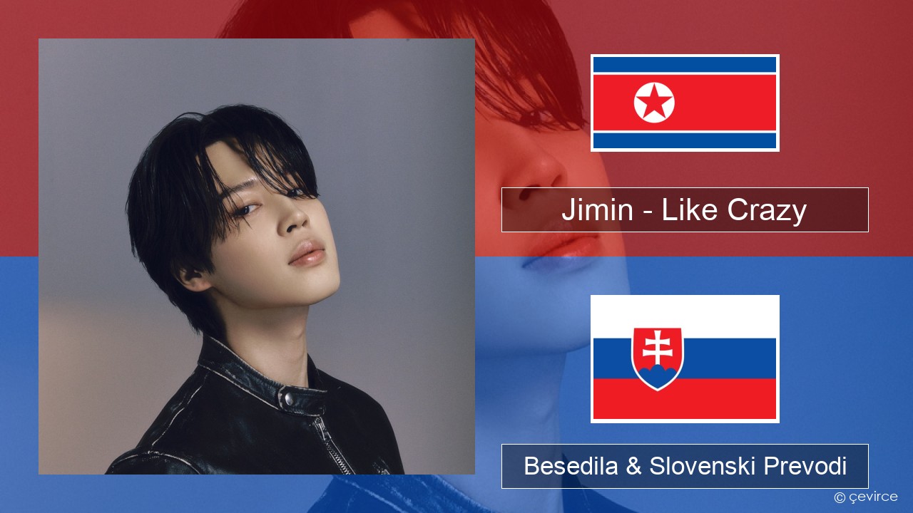 Jimin – Like Crazy Korejski Besedila & Slovenski Prevodi