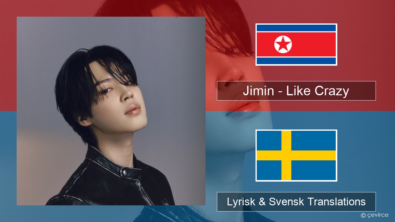 Jimin – Like Crazy Koreansk Lyrisk & Svensk Translations