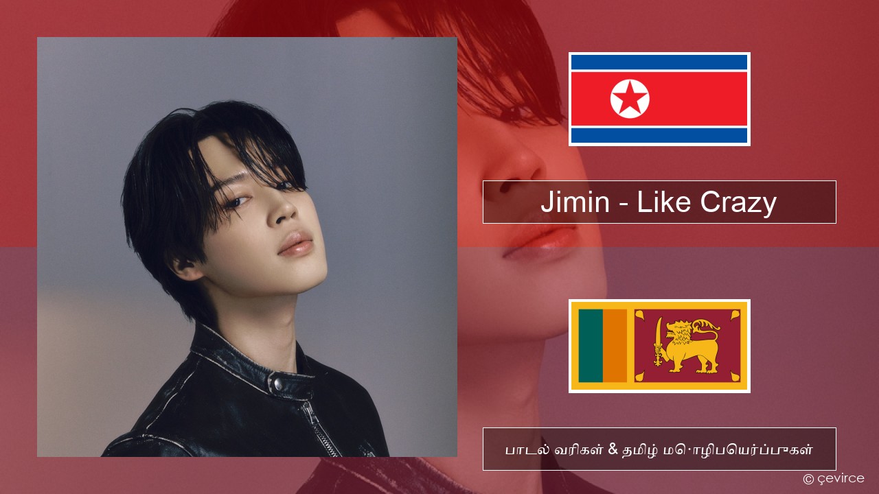 Jimin – Like Crazy கொரிய பாடல் வரிகள் & தமிழ் மொழிபெயர்ப்புகள்