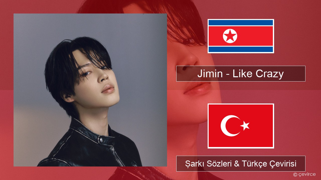 Jimin – Like Crazy Korece Şarkı Sözleri & Türkçe Çevirisi