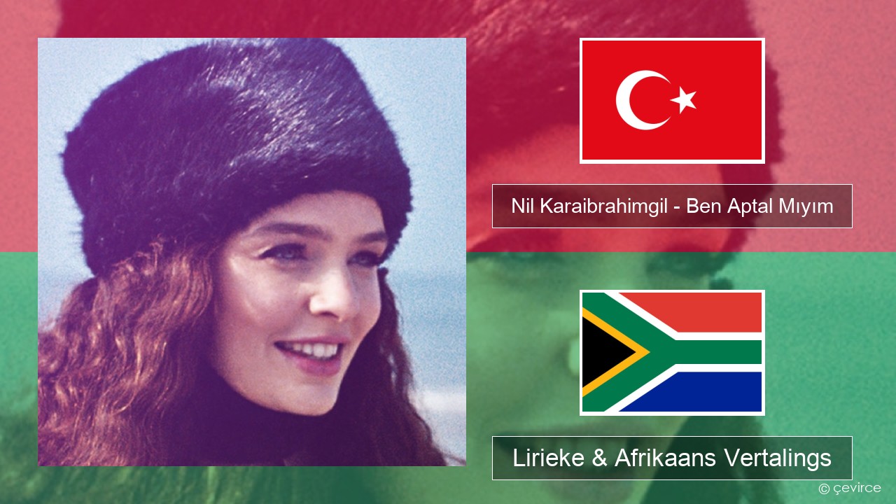 Nil Karaibrahimgil – Ben Aptal Mıyım Turks Lirieke & Afrikaans Vertalings