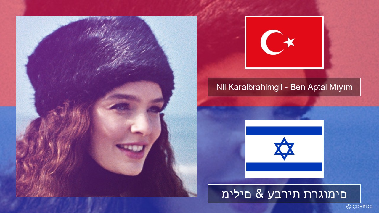 Nil Karaibrahimgil – Ben Aptal Mıyım טורקי מילים & עברית תרגומים