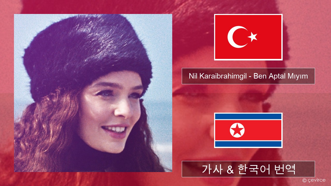 Nil Karaibrahimgil – Ben Aptal Mıyım 터키어 가사 & 한국어 번역