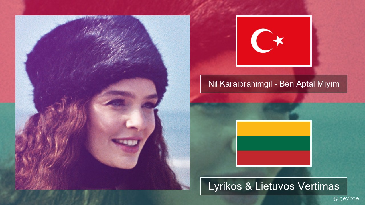 Nil Karaibrahimgil – Ben Aptal Mıyım Turkijos Lyrikos & Lietuvos Vertimas