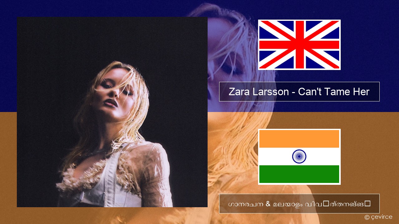 Zara Larsson – Can’t Tame Her ഇംഗ്ലീഷ് ഗാനരചന & മലയാളം വിവർത്തനങ്ങൾ