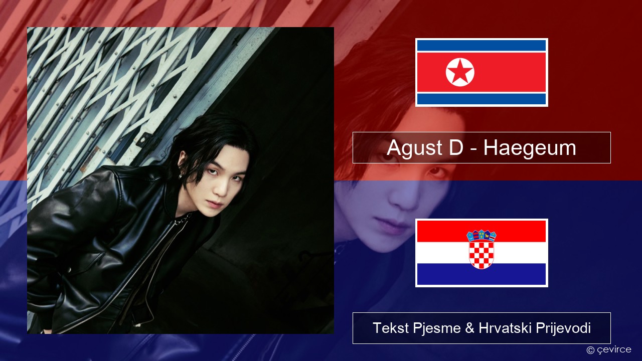 Agust D – Haegeum Korejski Tekst Pjesme & Hrvatski Prijevodi