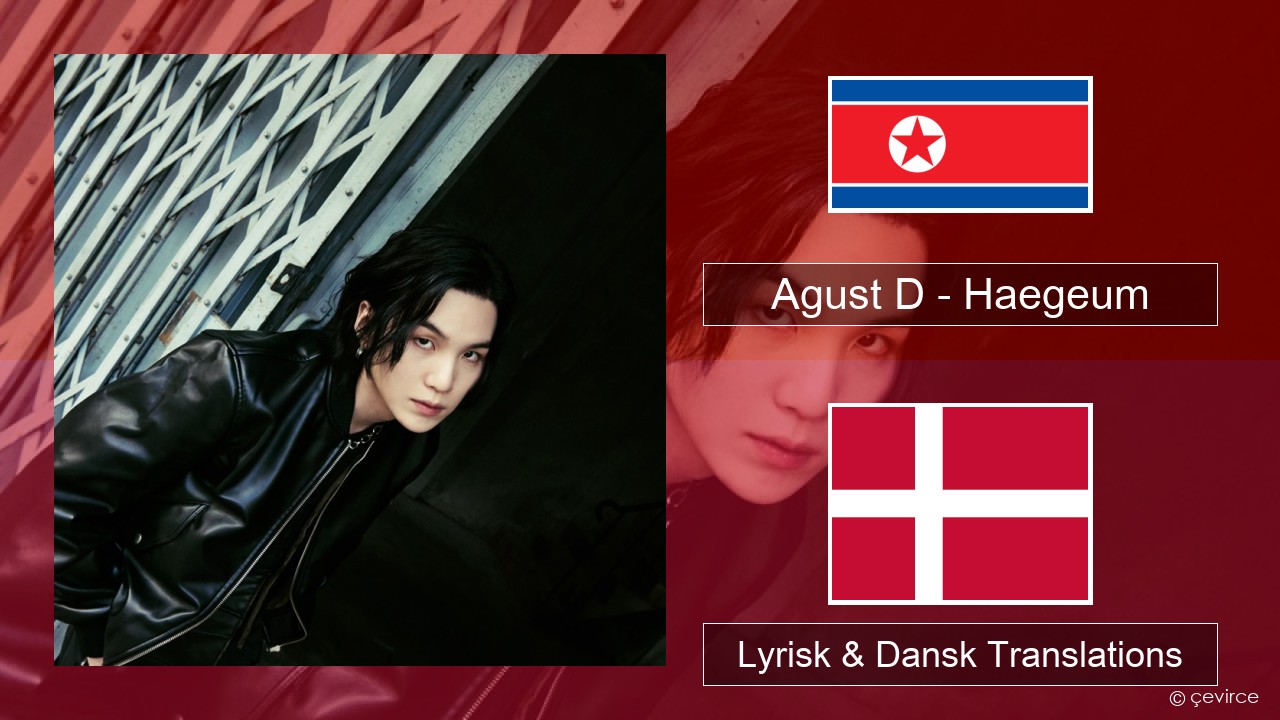 Agust D – Haegeum Koreansk Lyrisk & Dansk Translations