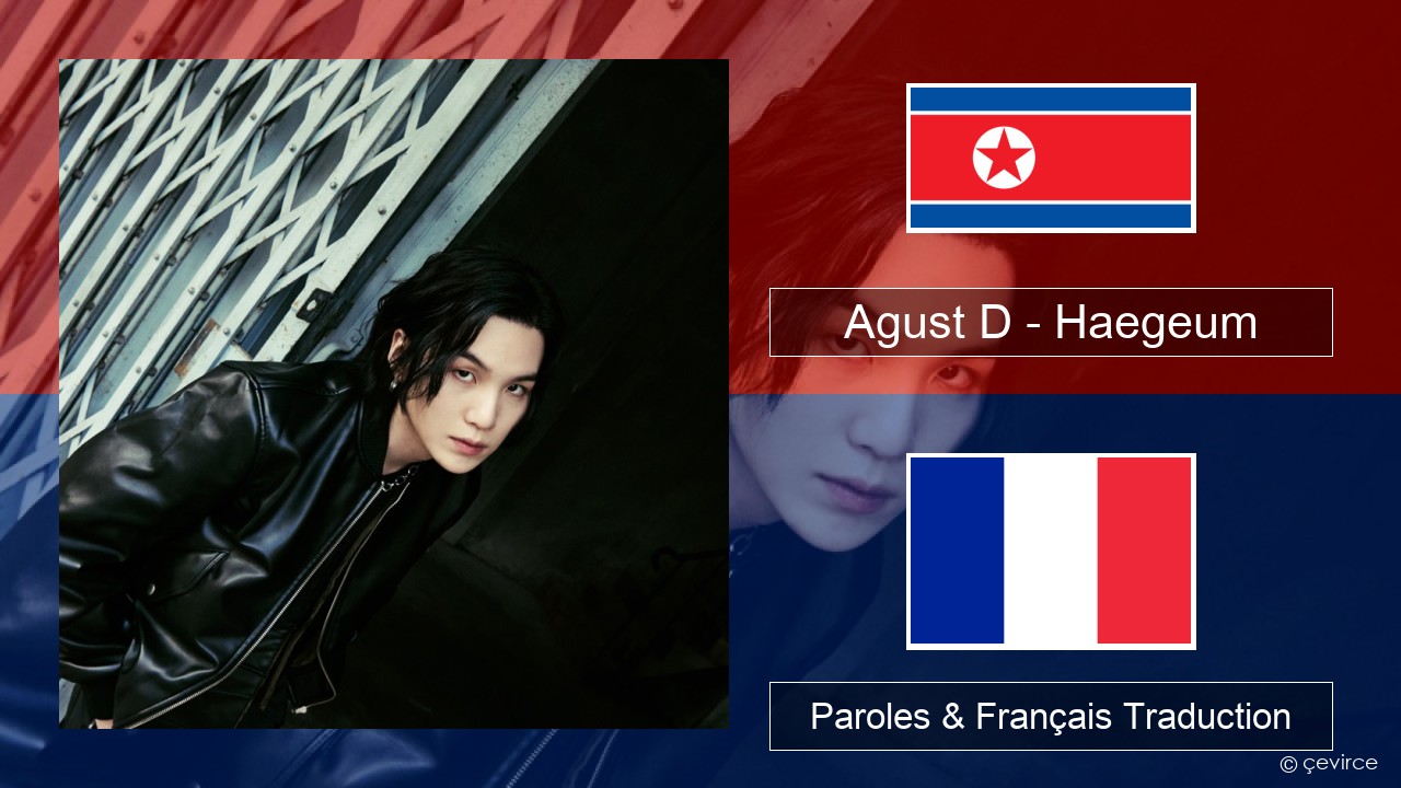 Agust D – Haegeum Coréen Paroles & Français Traduction