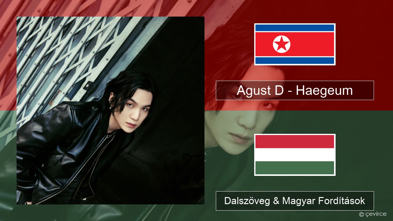 Agust D – Haegeum Koreai Dalszöveg & Magyar Fordítások