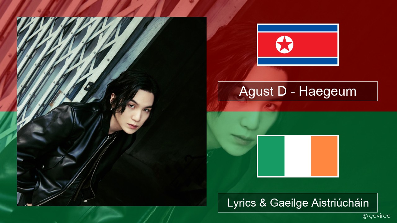 Agust D – Haegeum Cóiréis Lyrics & Gaeilge Aistriúcháin