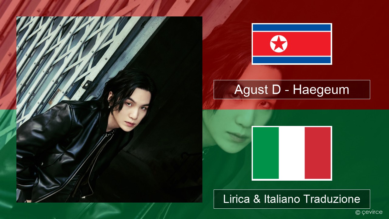 Agust D – Haegeum Coreano Lirica & Italiano Traduzione