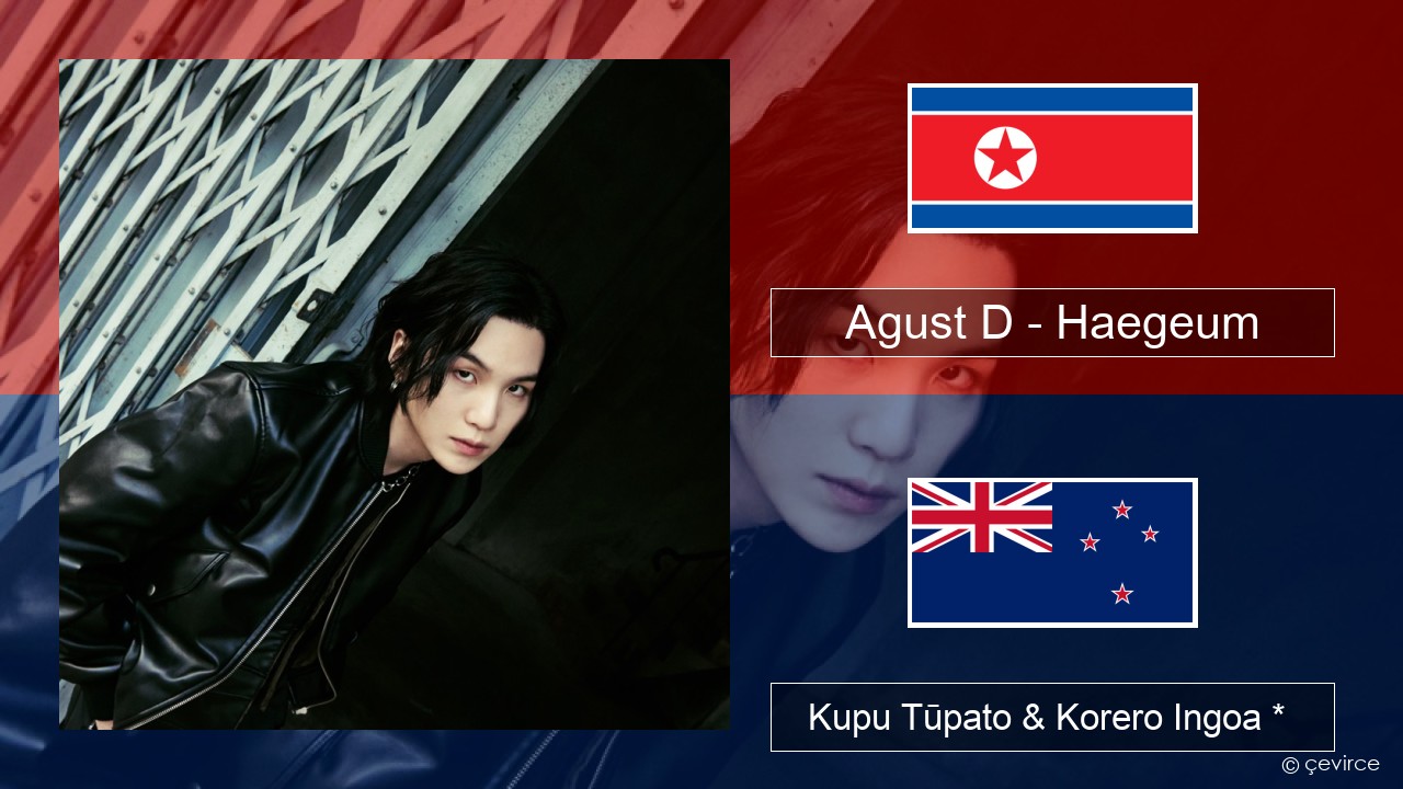 Agust D – Haegeum Reo kōrea Kupu Tūpato & Korero Ingoa *