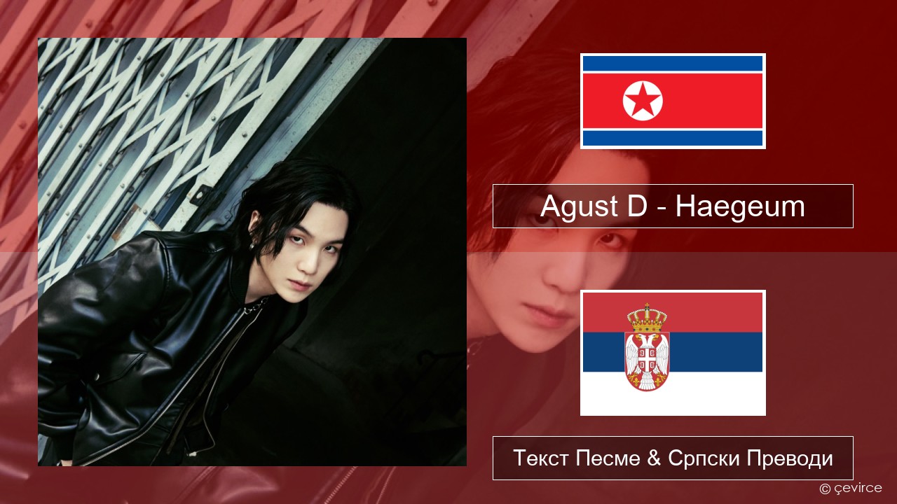 Agust D – Haegeum Корејски Текст Песме & Српски Преводи