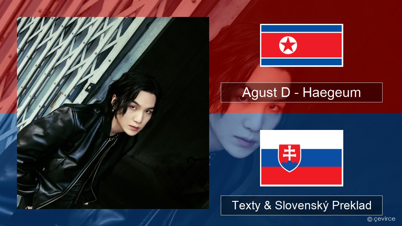 Agust D – Haegeum Kórejský Texty & Slovenský Preklad