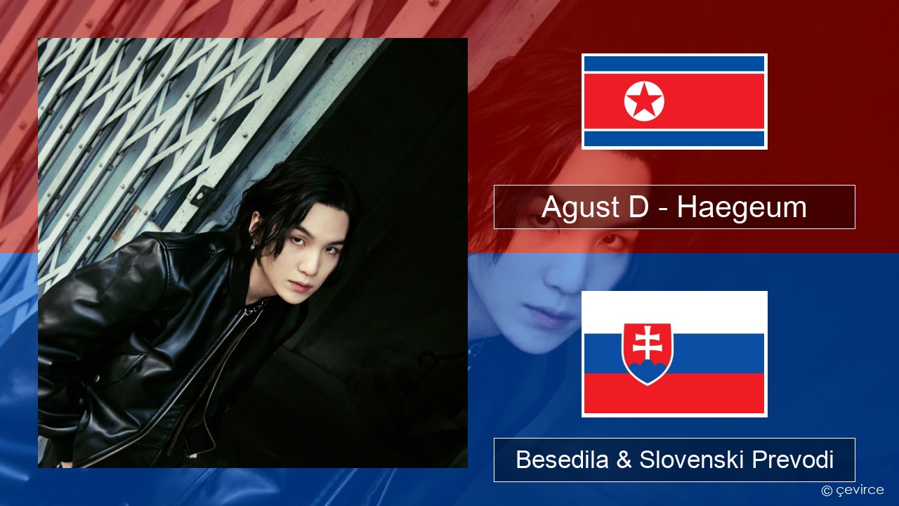 Agust D – Haegeum Korejski Besedila & Slovenski Prevodi