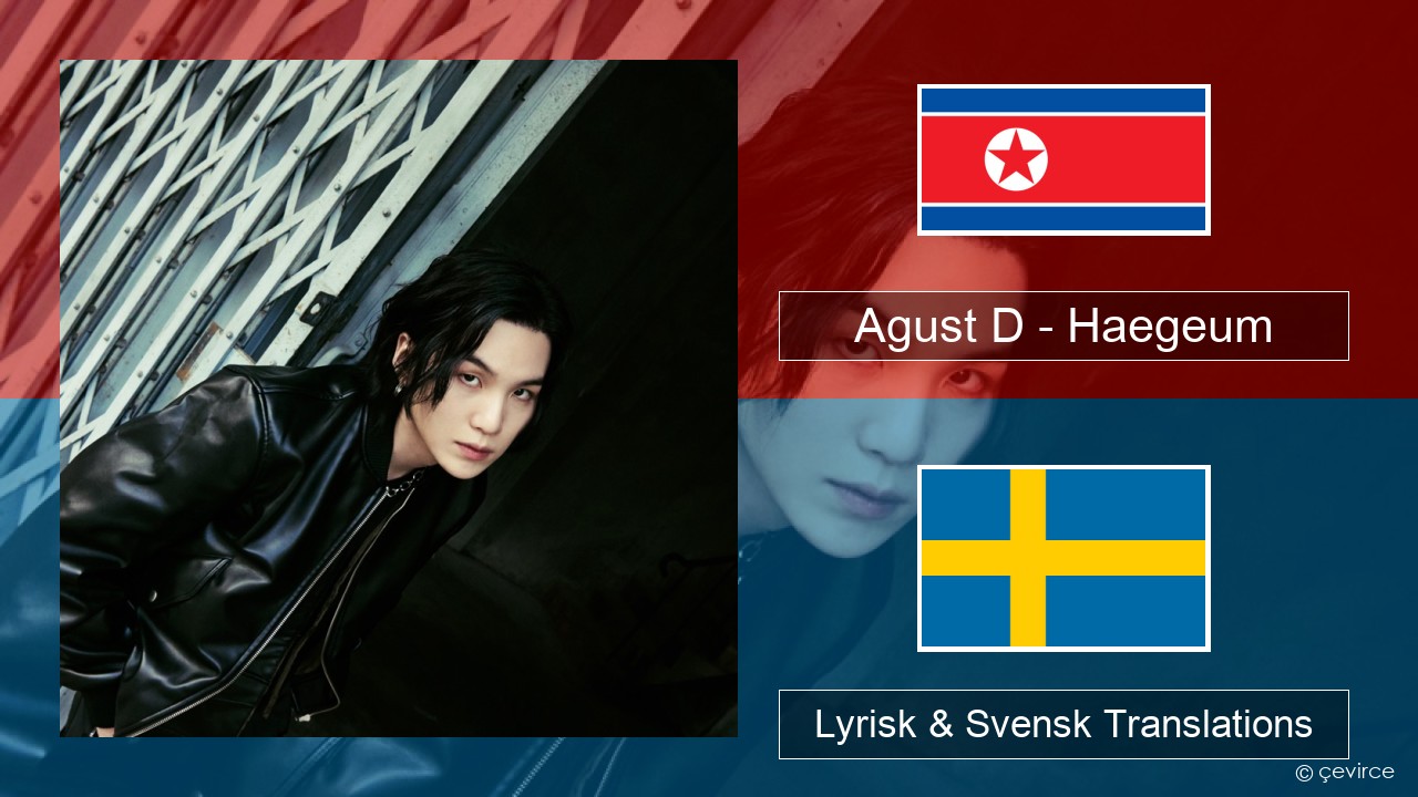 Agust D – Haegeum Koreansk Lyrisk & Svensk Translations