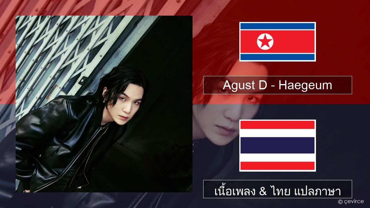 Agust D – Haegeum ภาษาเกาหลี เนื้อเพลง & ไทย แปลภาษา