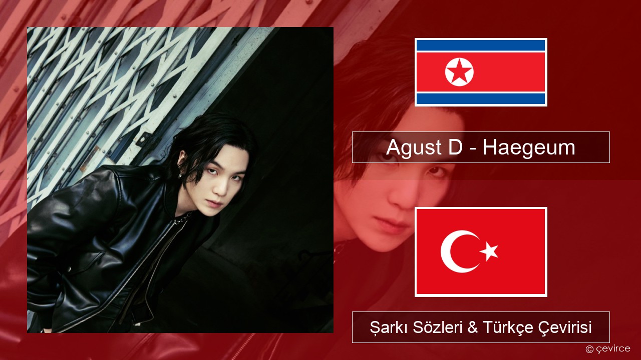 Agust D – Haegeum Korece Şarkı Sözleri & Türkçe Çevirisi