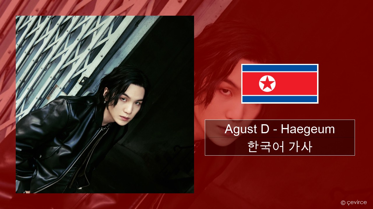 Agust D – Haegeum 한국어 가사