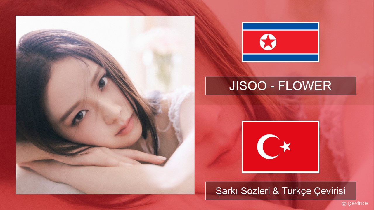 JISOO – FLOWER Korece Şarkı Sözleri & Türkçe Çevirisi