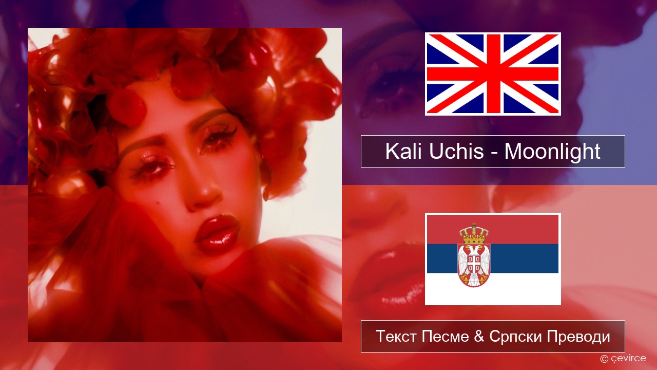 Kali Uchis – Moonlight Енглески Текст Песме & Српски Преводи