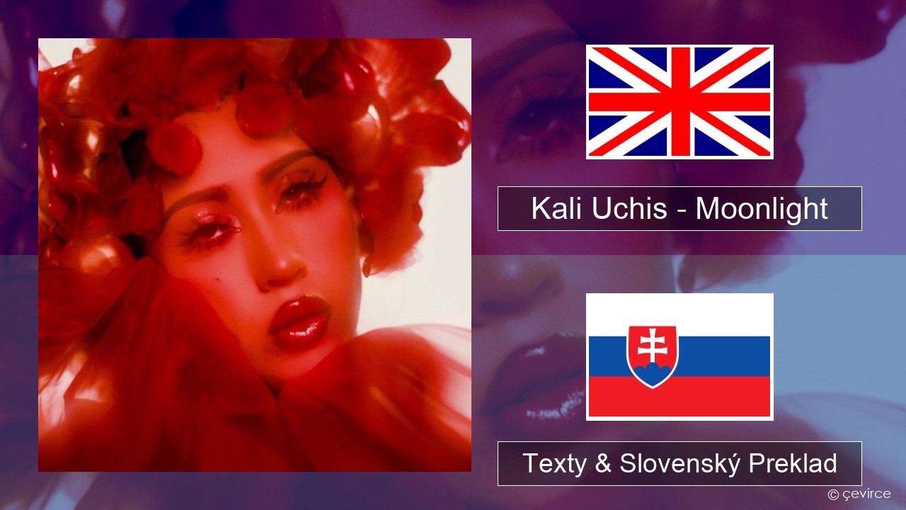 Kali Uchis – Moonlight Anglický Texty & Slovenský Preklad