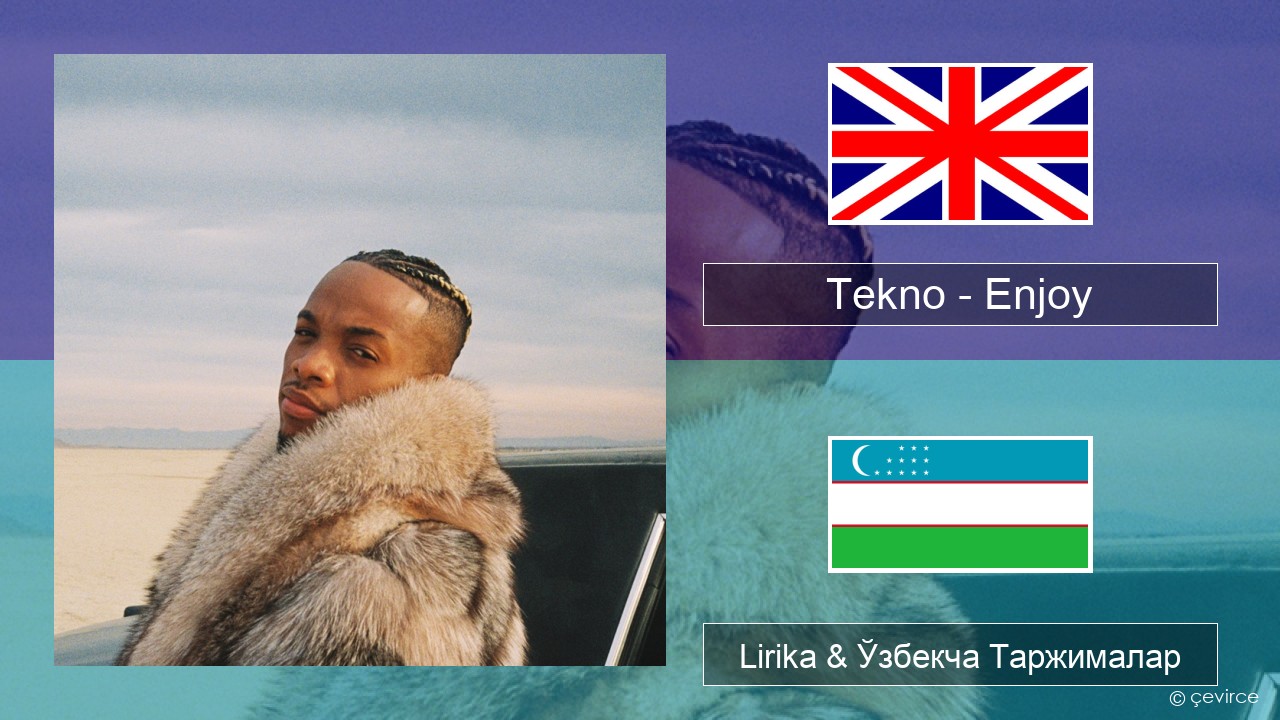 Tekno – Enjoy Инглиз тили Lirika & Ўзбекча (Кирил) Таржималар