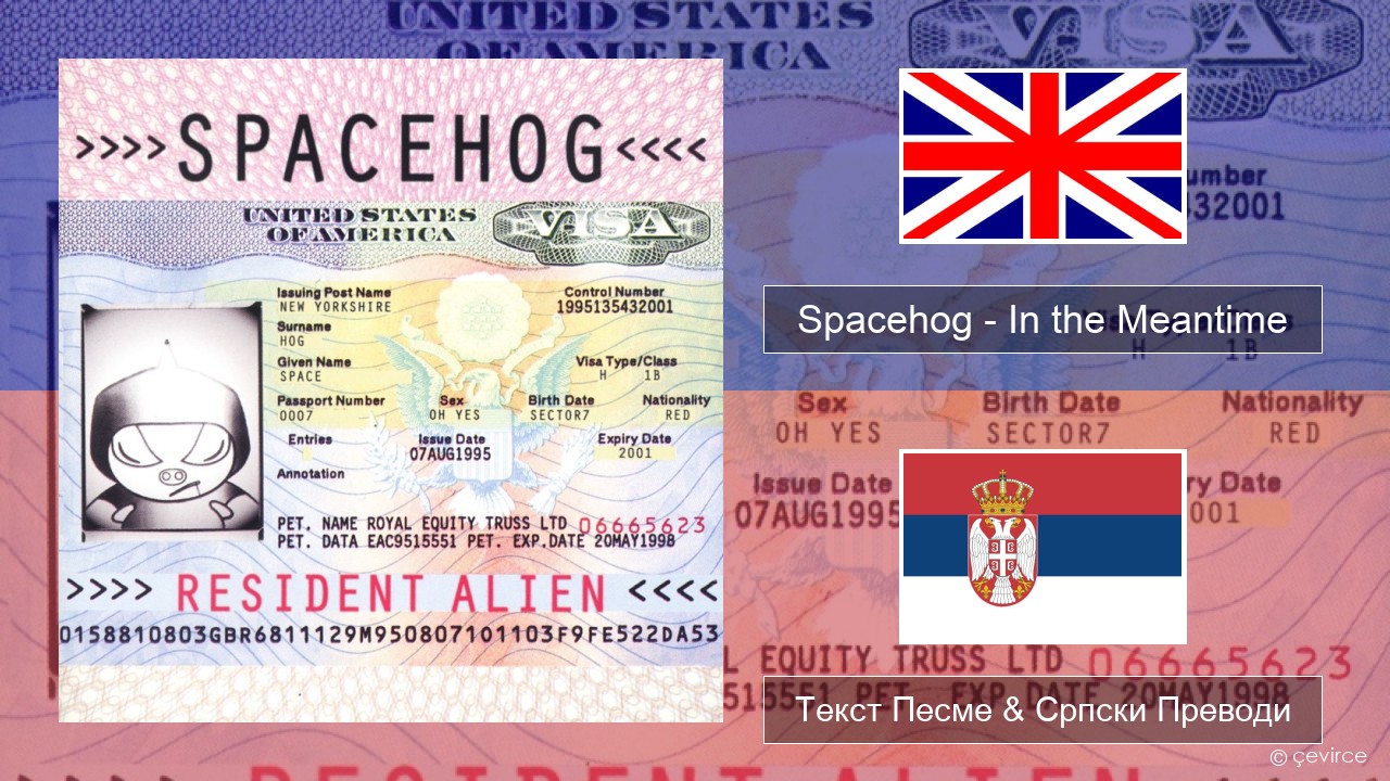 Spacehog – In the Meantime Енглески Текст Песме & Српски Преводи