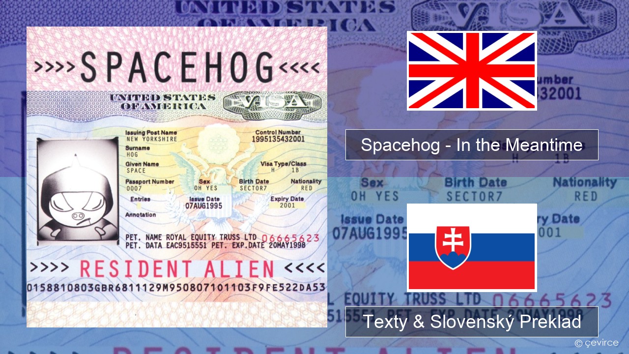 Spacehog – In the Meantime Anglický Texty & Slovenský Preklad