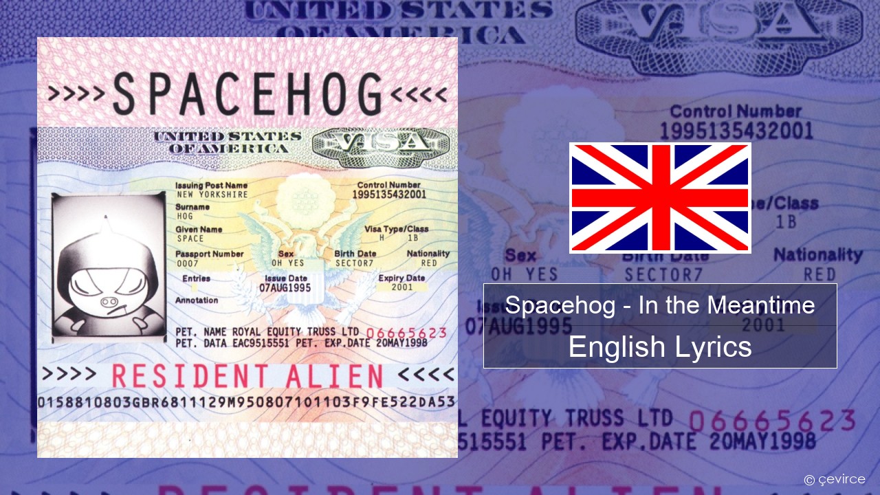 Spacehog – In the Meantime English Lyrics