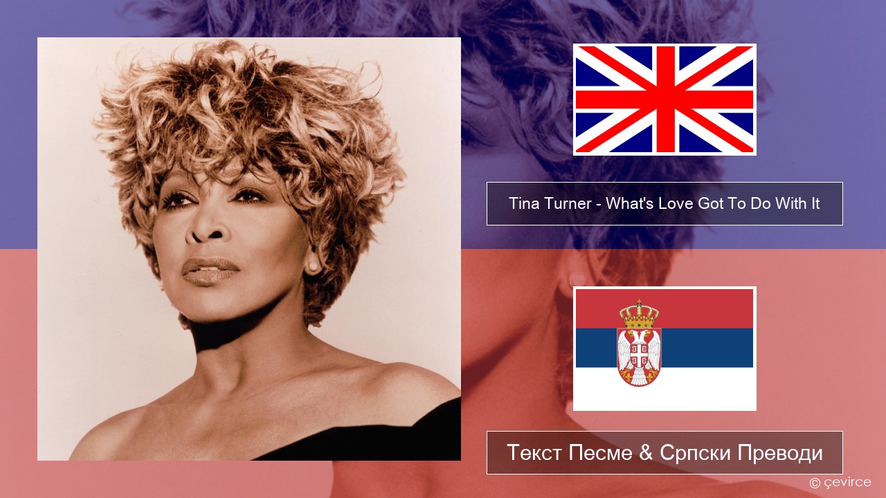 Tina Turner – What’s Love Got To Do With It Енглески Текст Песме & Српски Преводи