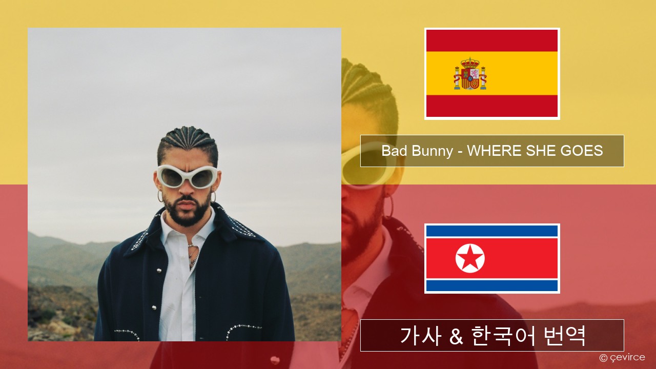 Bad Bunny – WHERE SHE GOES 스페인어 가사 & 한국어 번역