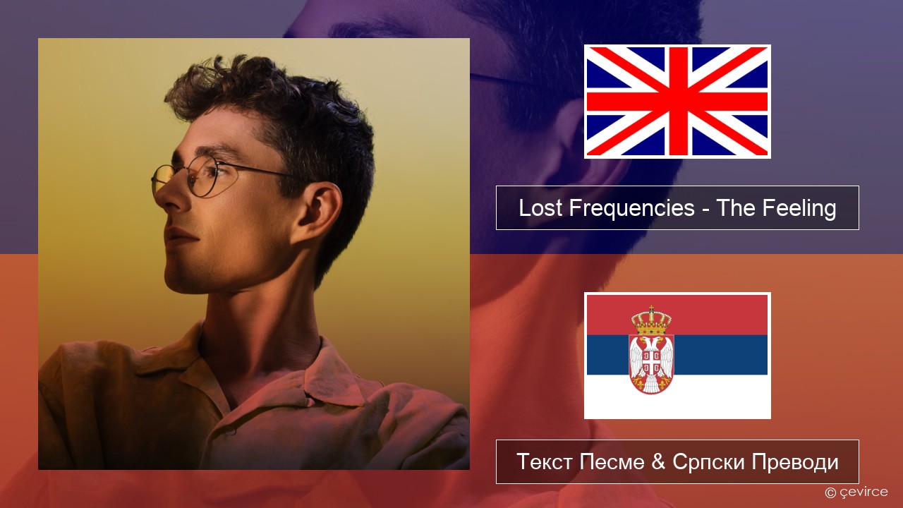 Lost Frequencies – The Feeling Енглески Текст Песме & Српски Преводи