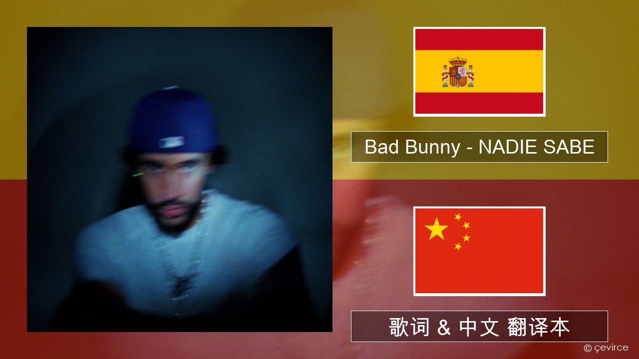 Bad Bunny – NADIE SABE 西班牙语 歌词 & 中文 翻译本