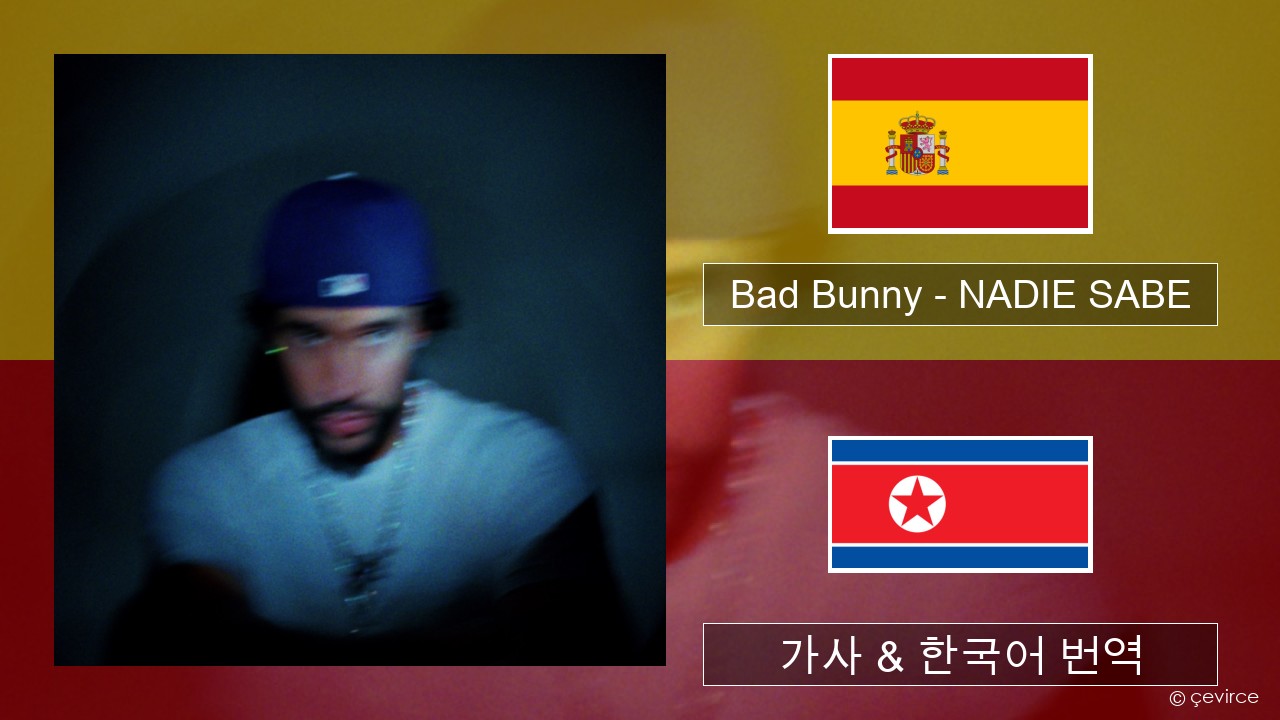 Bad Bunny – NADIE SABE 스페인어 가사 & 한국어 번역