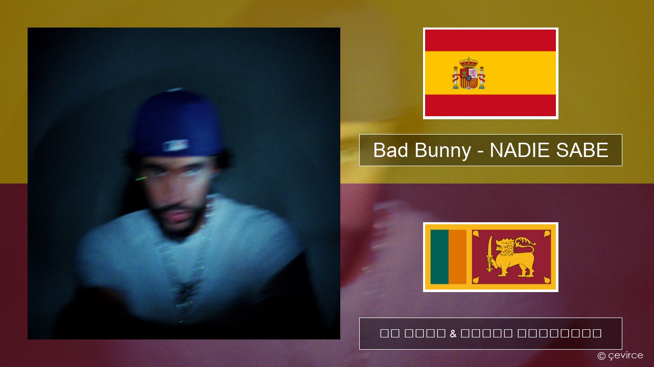 Bad Bunny – NADIE SABE ස්පාඤ්ඤ පද රචනය & සිංහල පරිවර්තන