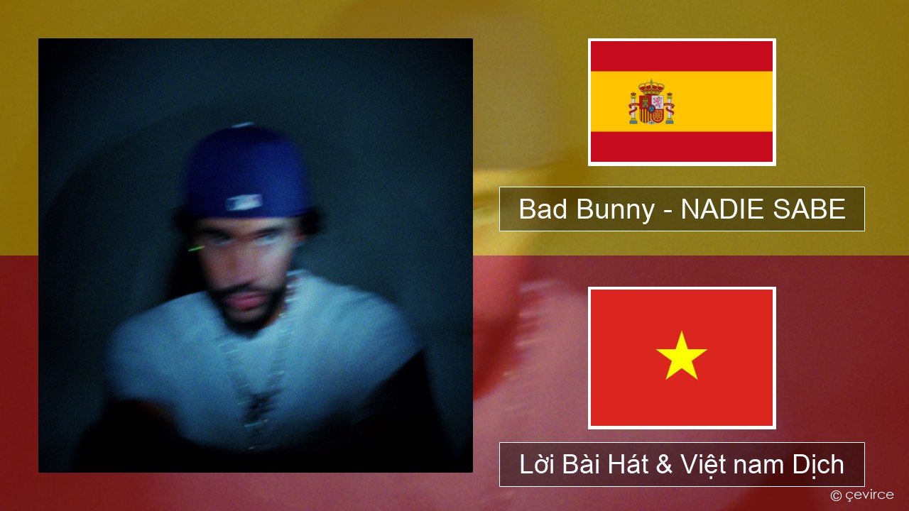 Bad Bunny – NADIE SABE Tiếng tây ban nha Lời Bài Hát & Việt nam Dịch