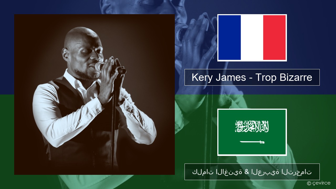 Kery James – Trop Bizarre (feat. Alonzo, Sadek & Kofs) الفرنسية كلمات الاغنية & العربية الترجمات