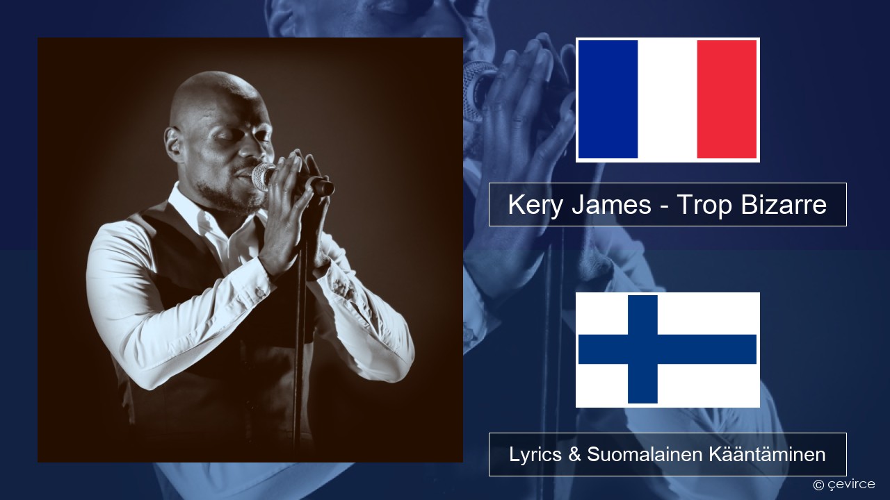 Kery James – Trop Bizarre (feat. Alonzo, Sadek & Kofs) Ranska Lyrics & Suomalainen Kääntäminen