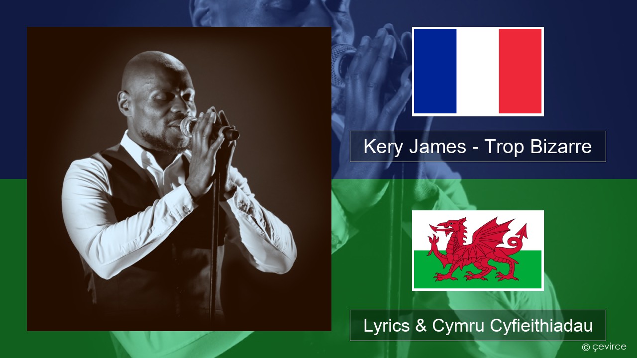 Kery James – Trop Bizarre (feat. Alonzo, Sadek & Kofs) Ffrangeg Lyrics & Cymru Cyfieithiadau