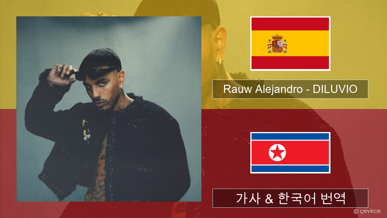 Rauw Alejandro – DILUVIO 스페인어 가사 & 한국어 번역