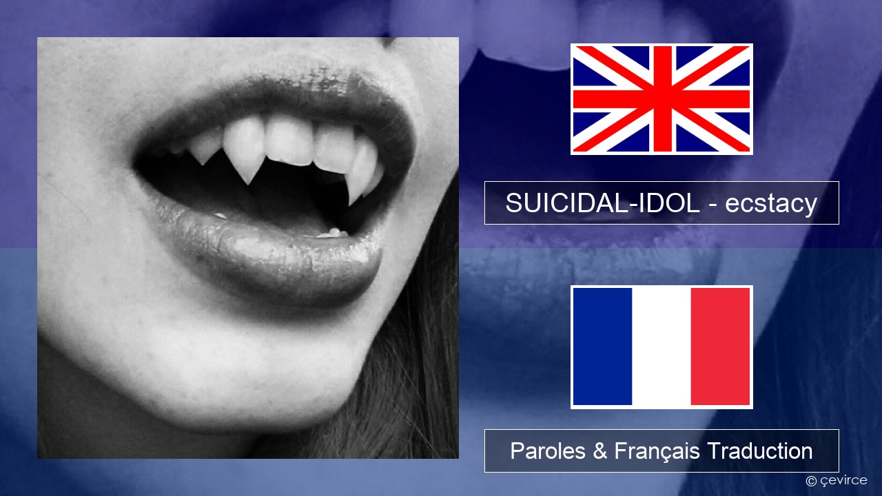 SUICIDAL-IDOL – ecstacy (super slowed) Anglais Paroles & Français Traduction